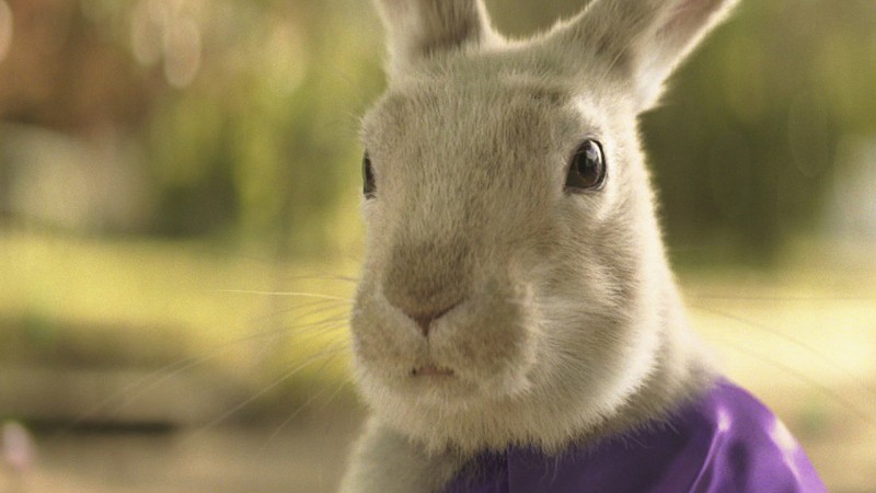 Cadbury - Easter Bunny